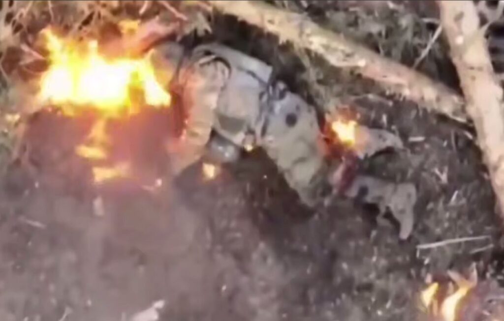 Скриншот 16 10 2025 162353