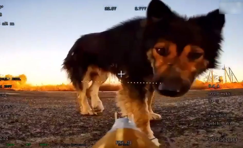 Скриншот 21 10 2025 165319