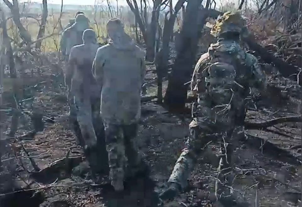 Скриншот 06 11 2025 003125