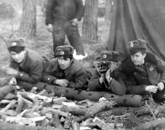 Бегство ГСВГ из Германии в начале 90-х. Вывозили в чистое поле и бросали выживать (фильм Александра Сладкова, 2019)