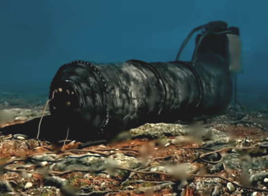 Что было скрыто в загадочных коконах, которые случайно нашли советские рыбаки на дне "Охотского моря"? (2021)