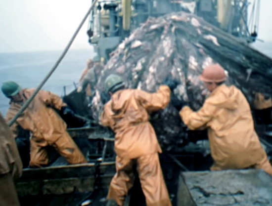 Эта случайная находка советских рыбаков в 1980 году, могла привести к Третьей Мировой войне (2021)