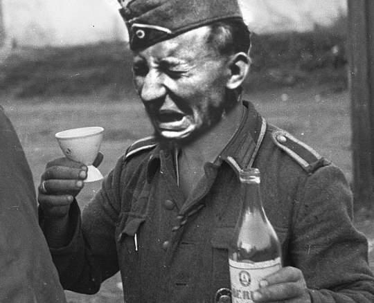 Какого неприятного вкуса был немецкий шнапс? Самодельные и официальные напитки немецких танкистов (2020)