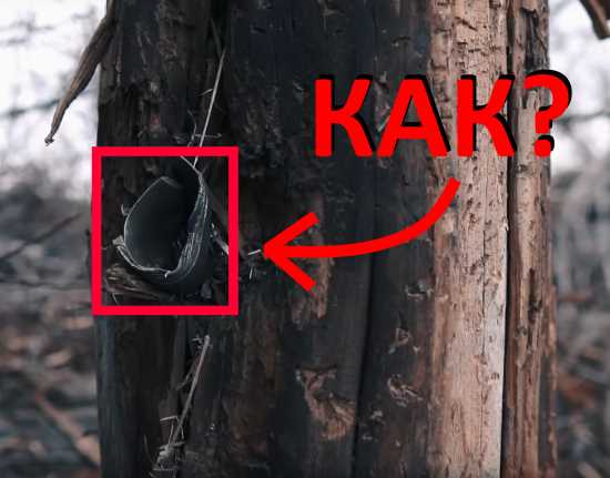 Можно ли срубить дерево выстрелами из РПГ-18, РПГ-22 и пулями 12,7-мм? Дерево преподнесло сюрпризы... (2021)