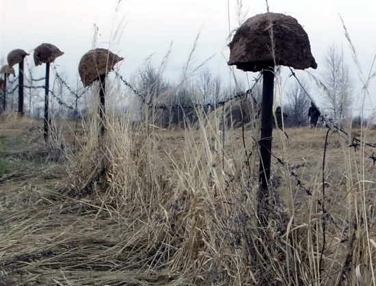 Объехав все окрестности Ржева, вы не найдете более жуткого места. Здесь не ходят люди и нет памятников (2022)