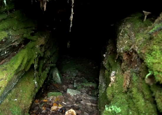 Огромный немецкий блиндаж найден в Заполярье: "Первый раз я вижу такую картину! Я В ШОКЕ!" (2022)