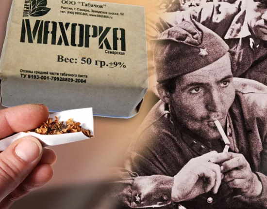 Почему красноармейцы обожали самокрутки из махорки и брезговали настоящим табаком? (2021)