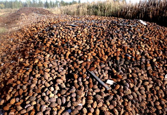 Почему российские военные сожгли миллионы гранат? Барханы до горизонта (2021)