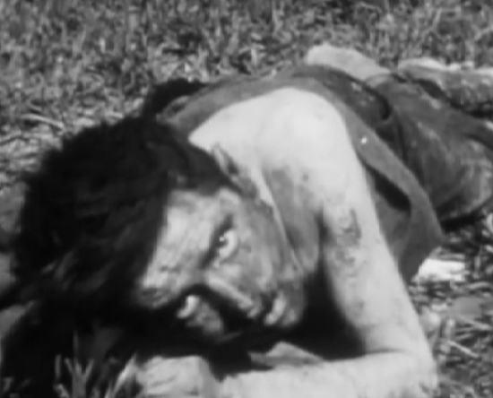 Псевдоним "Хозяин". Агент Абвера из расстрельной ямы (Россия) 2010