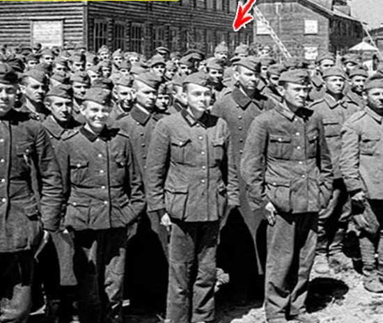 Сколько пленных немцев решили остаться в СССР после освобождения? (2021)