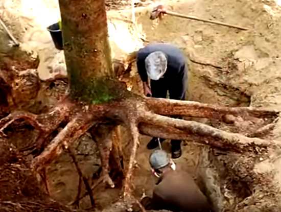 Случайная находка археолога-любителя устроила сенсацию! ЗОЛОТО НАЦИСТОВ найденное в необычно месте (2021)