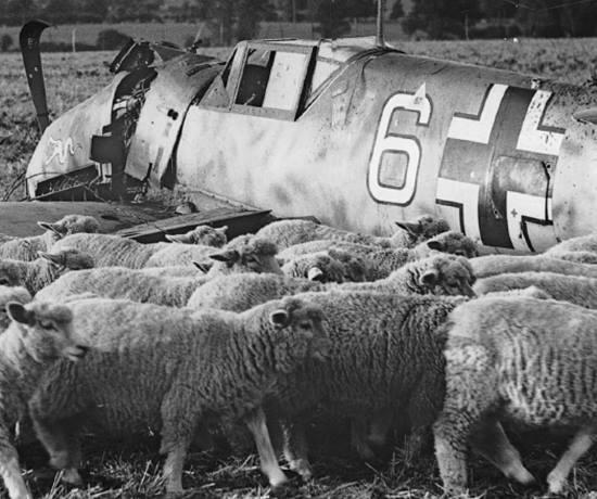 Сражение в небе Британии. «Швармы» против Джентельменов (2019)