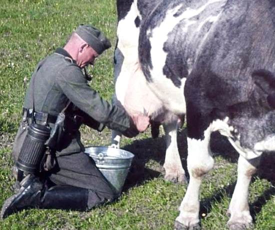Странные налоги и законы, введеные немцами на оккупированных территориях СССР (2019)