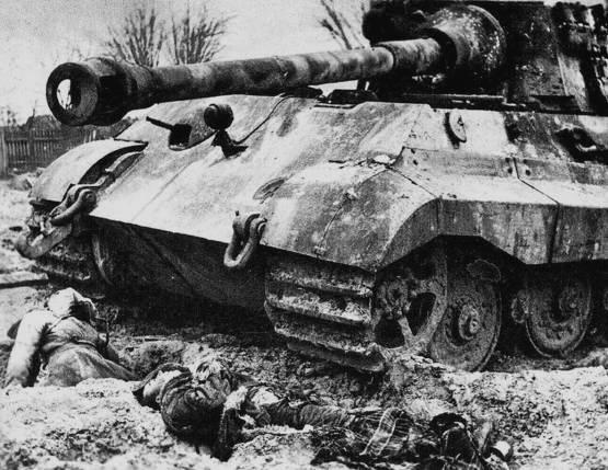 &laquo;Тигровый армагеддон&raquo; у Лисува. Победа над нацистским зверинцем (Россия) 2018