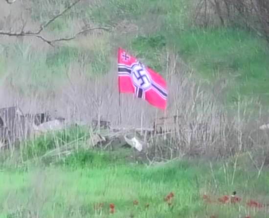 Зачем украинские военные подняли флаг Третьего рейха на своих позициях? (2019)