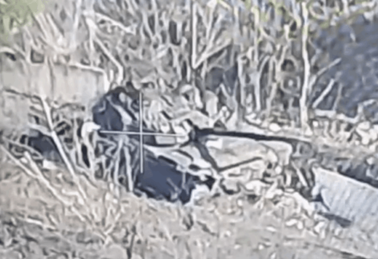 05 2024. Часов яр. 05 2024. Часов яр 12. Часов яр 12.