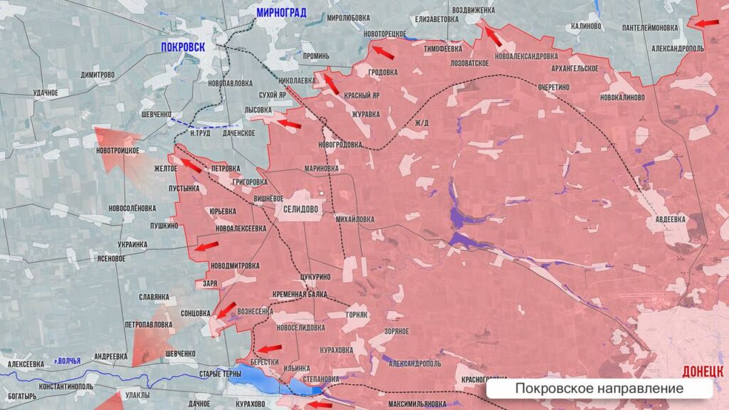 02.12.2024 На Покровском фронте российские войска освободили Старые Терны и продолжают наступление на Курахово, Пушкино и Новопустынку. Активные бои идут в Лысовке и Сухом Яре. Карта боев. (12 видео)