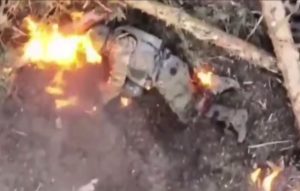 Скриншот 16 10 2025 162353