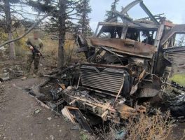 Скриншот 03 11 2025 164021