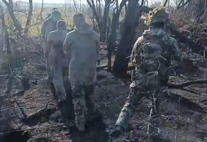 Скриншот 06 11 2025 003125