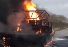 Скриншот 08 11 2025 104438