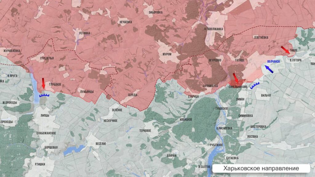 photo 2025 11 10 01 34 48 photo 2025 11 10 01 34 48