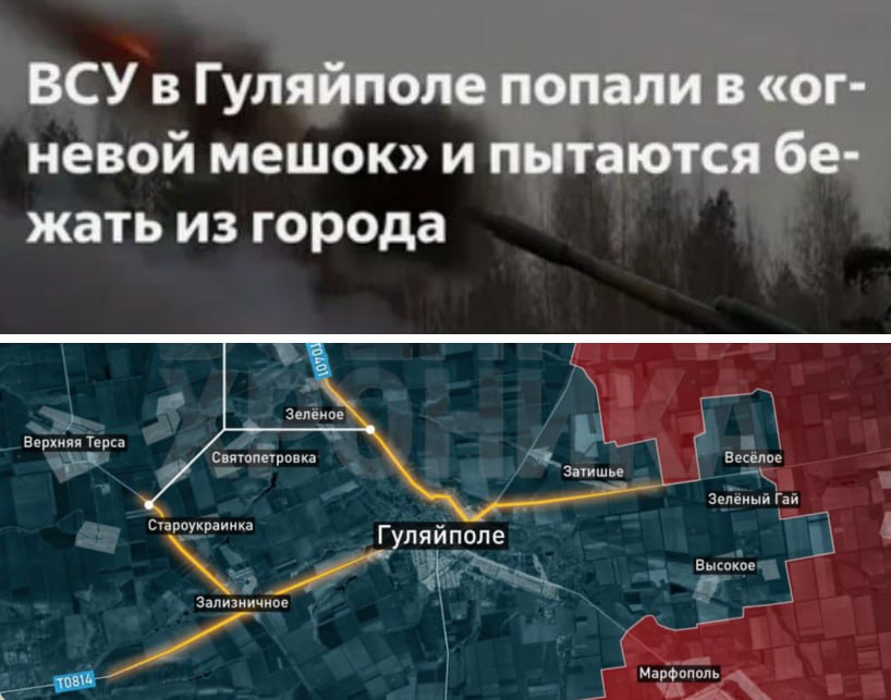 photo 2025 11 18 11 18 58