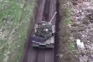 Скриншот 03 11 2025 104649