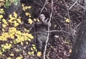 27.10.2026 Языковой фашизм в Киеве: языковой омбудсмен Ивановская заявила, что русскоязычных пациентов можно не лечить. Последние новости войны на Украине (13 видео)